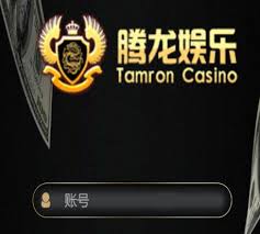 案例展示六